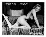 Vintage Donna Reed Fake Nudes Free Porn